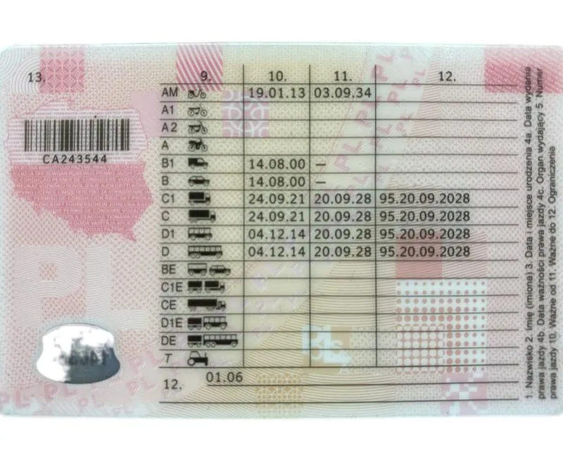 Prawo jazdy tymczasowe